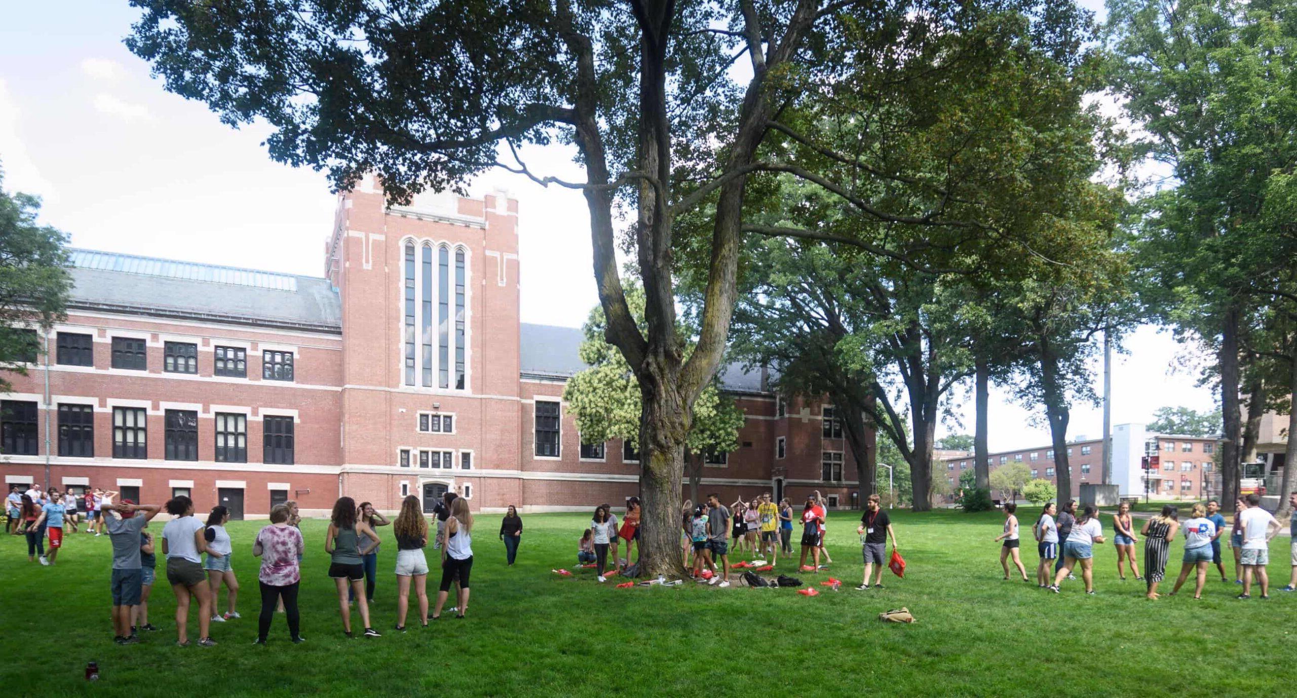 学生们聚集在草地上